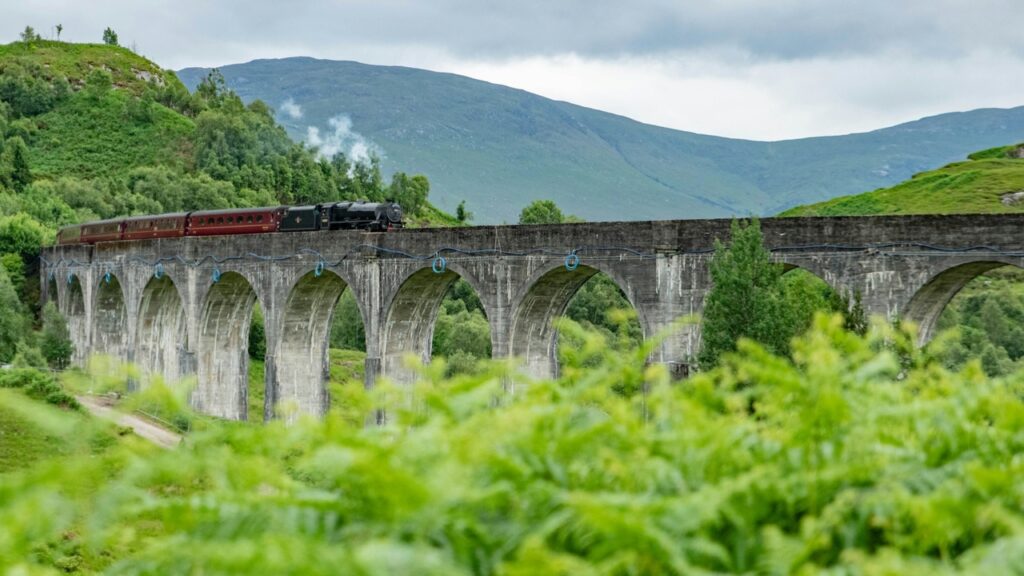 THE JACOBITE TRAIN