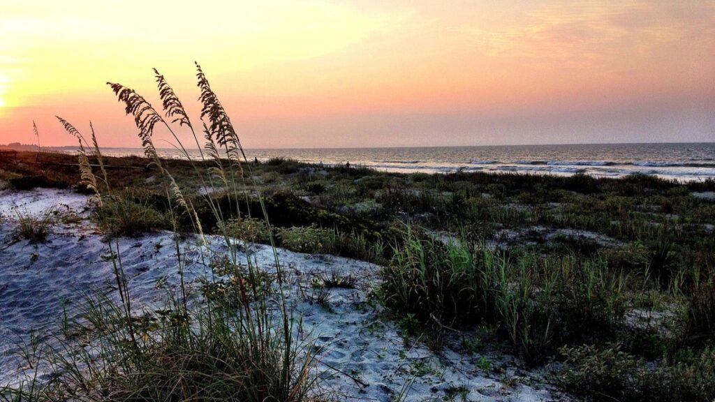 Beachwalker Park, Kiawah Island, South Carolina