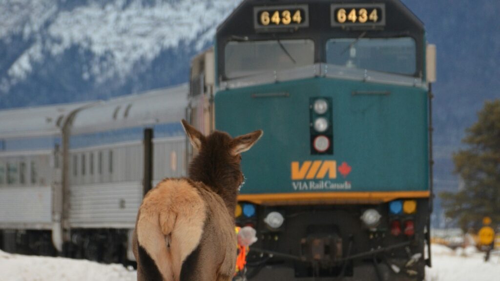 VIA Rail, Canada