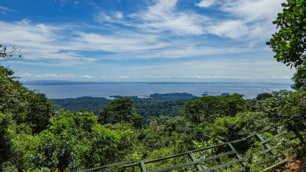 Suriname Amazon Rain Forest