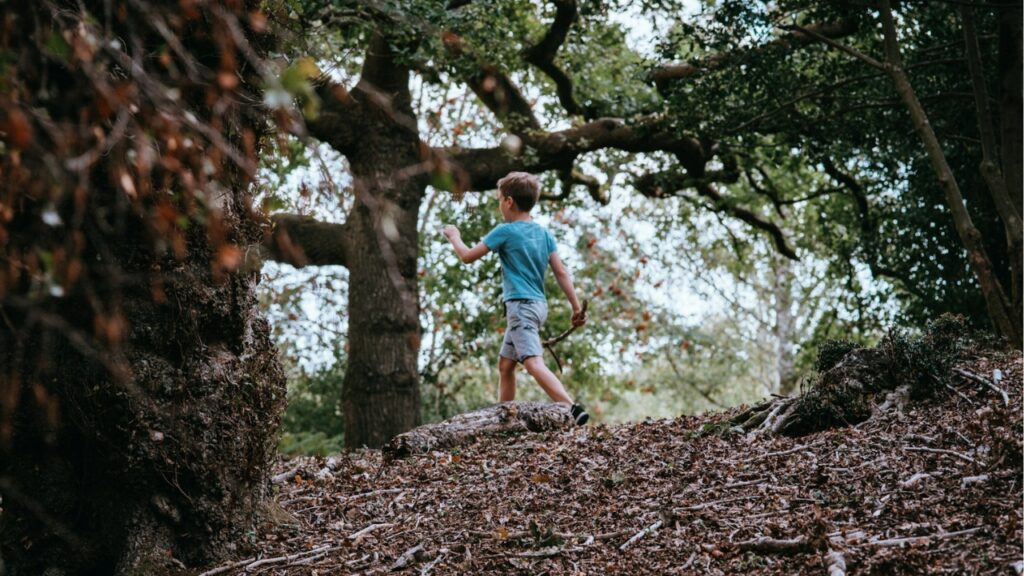 Kid Hiking