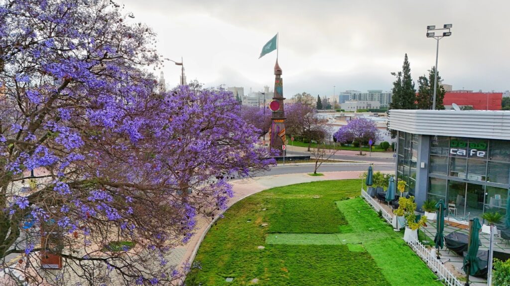 Abha and the Asir Mountains