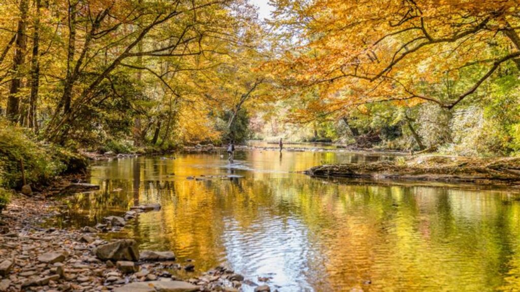 Fly fishing Linville Gorge North Carolina