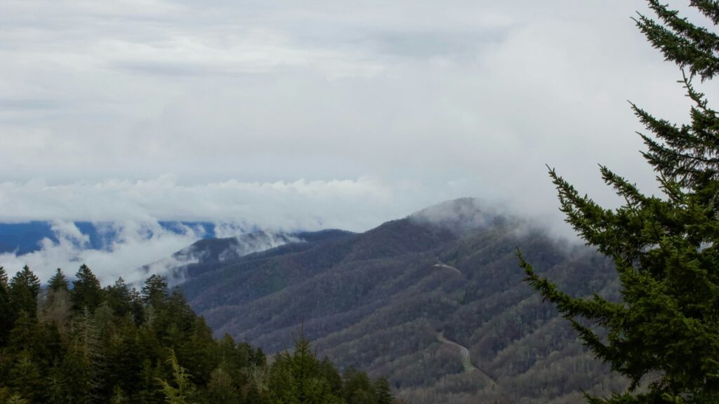 Great Smoky Mountains National Park