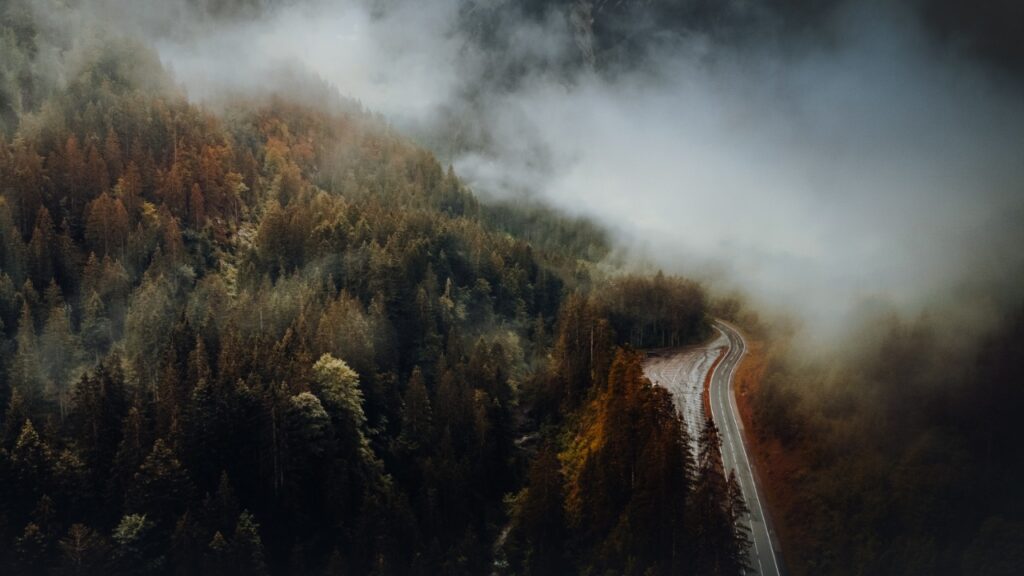 Smoky Mountain road