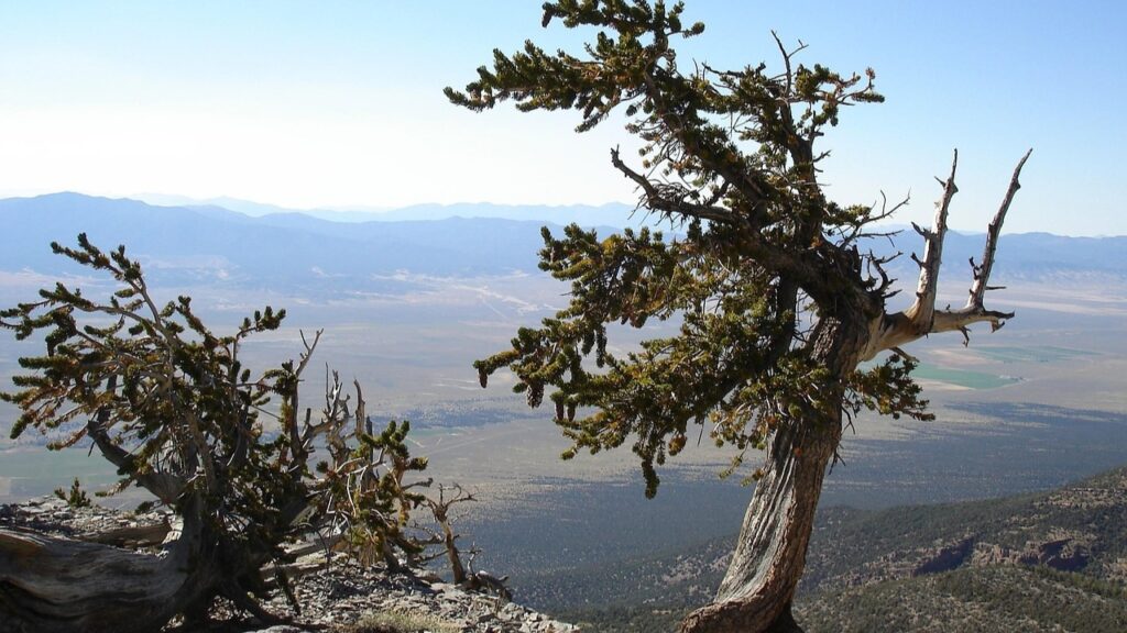 Great Basin National Park, Nevada