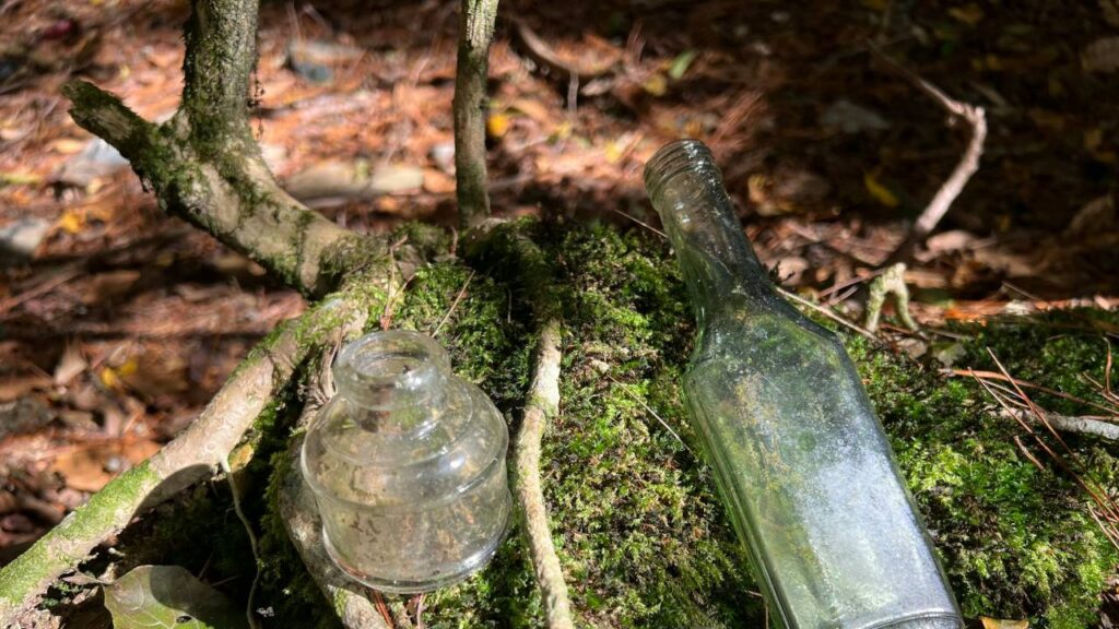 Bottle Hunting