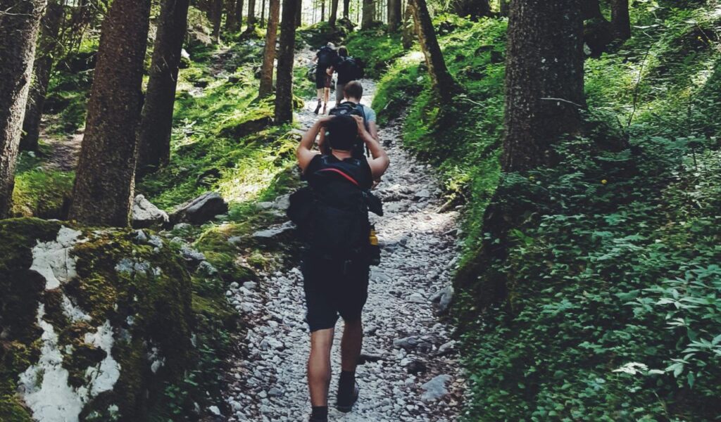 Hikers walking along a rocky trail through a lush green forest, surrounded by tall trees and natural scenery