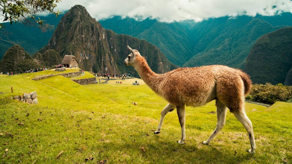 Peru