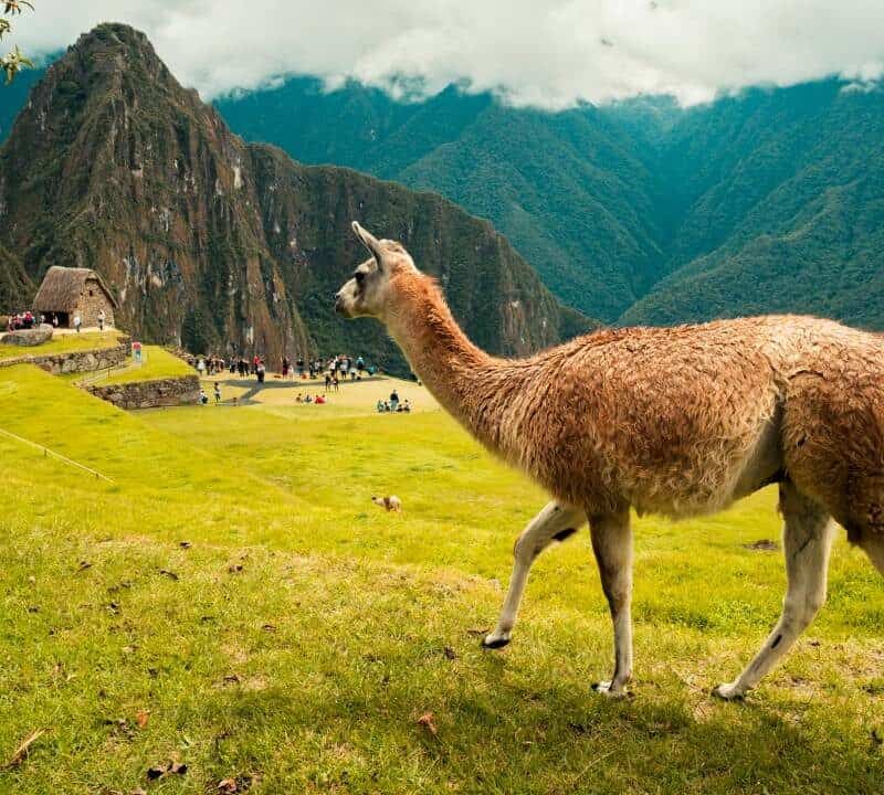 Peru