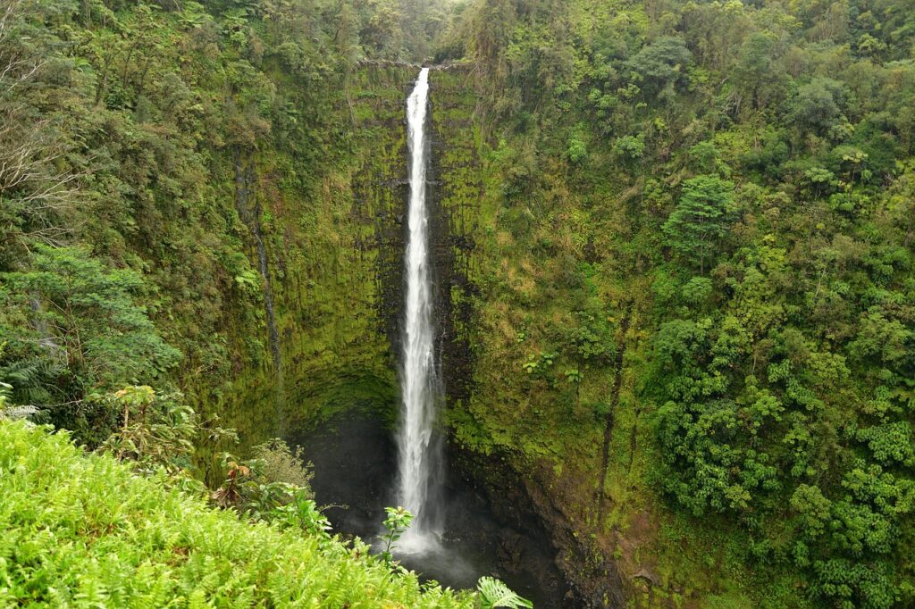 Akaka Falls State Park