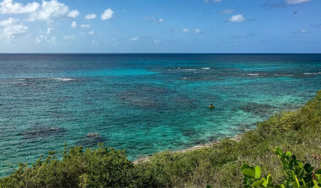 Turquoise waters and coral reefs off the coast of Anguilla, with green shrubs in the foreground and a lone boat offshore.