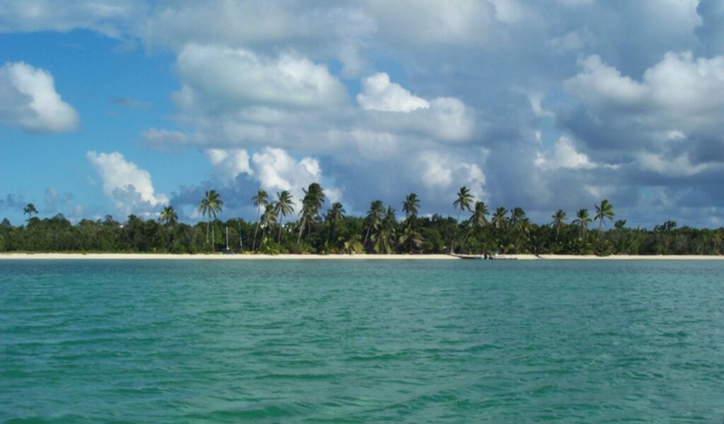 Tropical beach in the Bahamas with palm trees, white sand, and turquoise water under a partly cloudy sky.