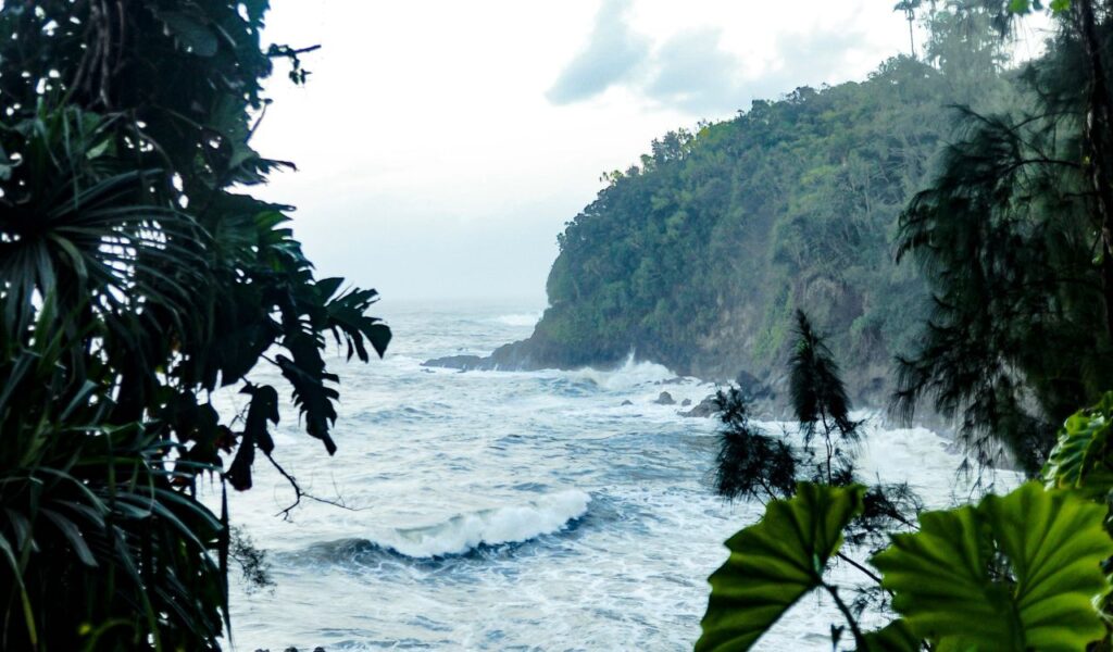 Lush jungle frames a rugged coastline and crashing waves on the wild shores of Basse-Terre, Guadeloupe.
