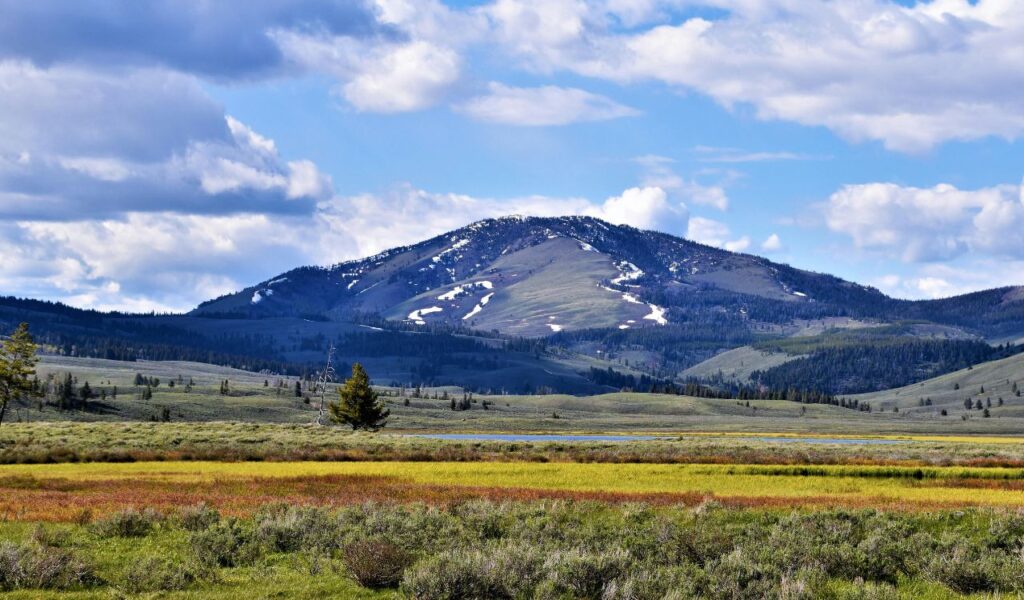 Scenic view of Bob Marshall Wilderness in Montana, showing grassy meadows, forested hills, and snow-patched peaks.
