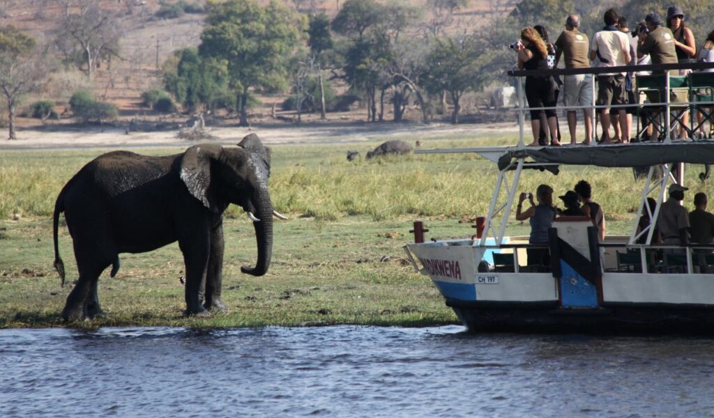 Tourists on a boat observe an elephant up close along the riverbank in Botswana's wilderness.