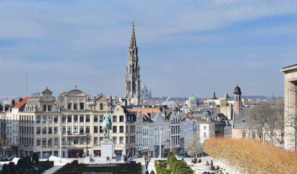 Brussels cityscape with historic buildings and central tower view.