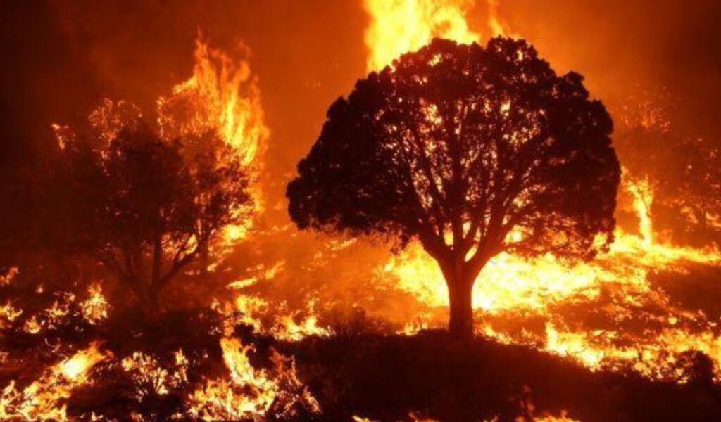 Wildfire engulfing trees and brush at night, showing the intense flames and urgency of checking for fire risks in dry areas.