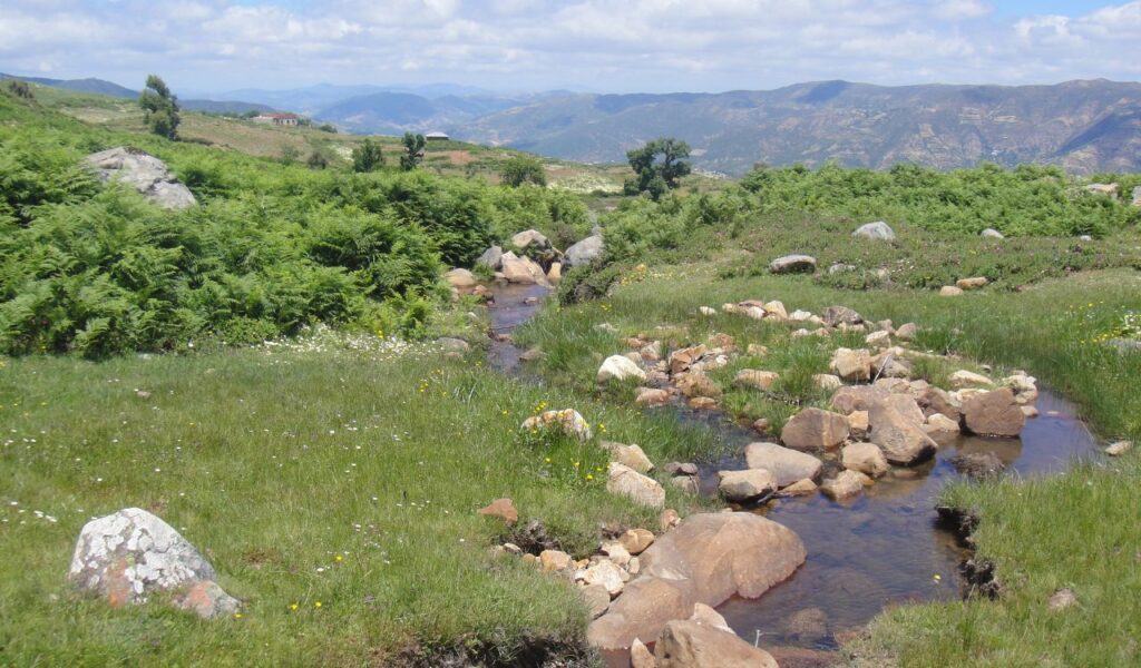 Lush green landscape with a rocky stream and distant hills near Chefchaouen, Morocco, on a sunny day.