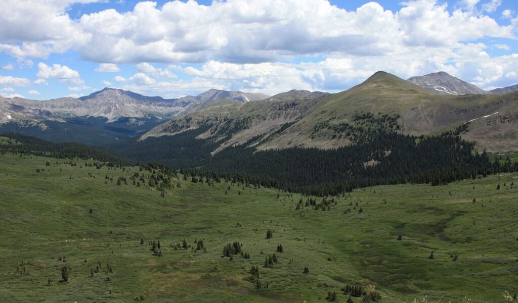 Wide alpine valley with forested slopes and high peaks along Collegiate Peaks Scenic Byway