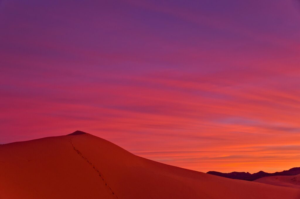 Coral Pink Sand Dunes State Park