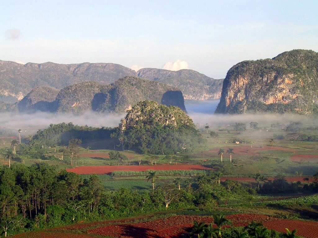 Embracing Cuba's Evolving Landscape
