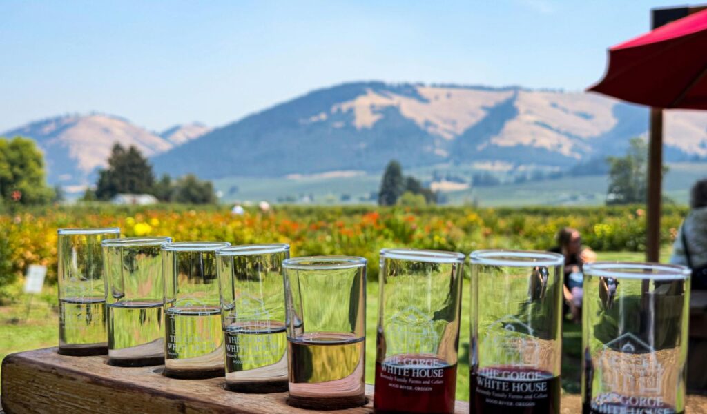 A row of wine tasting glasses filled with various wines, set against a scenic vineyard and mountain backdrop in Oregon.