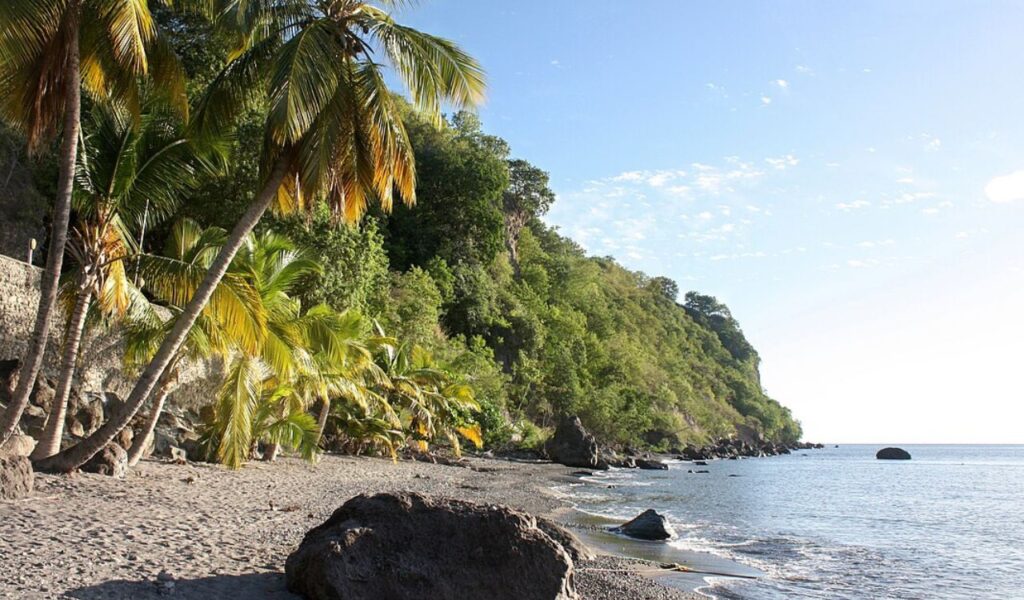 Secluded black sand beach in Dominica with palm trees, lush green cliffs, and calm coastal waters.