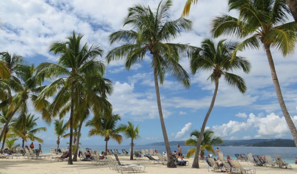 Palm trees and beach chairs line a sunny shore in the Dominican Republic with clear skies overhead.