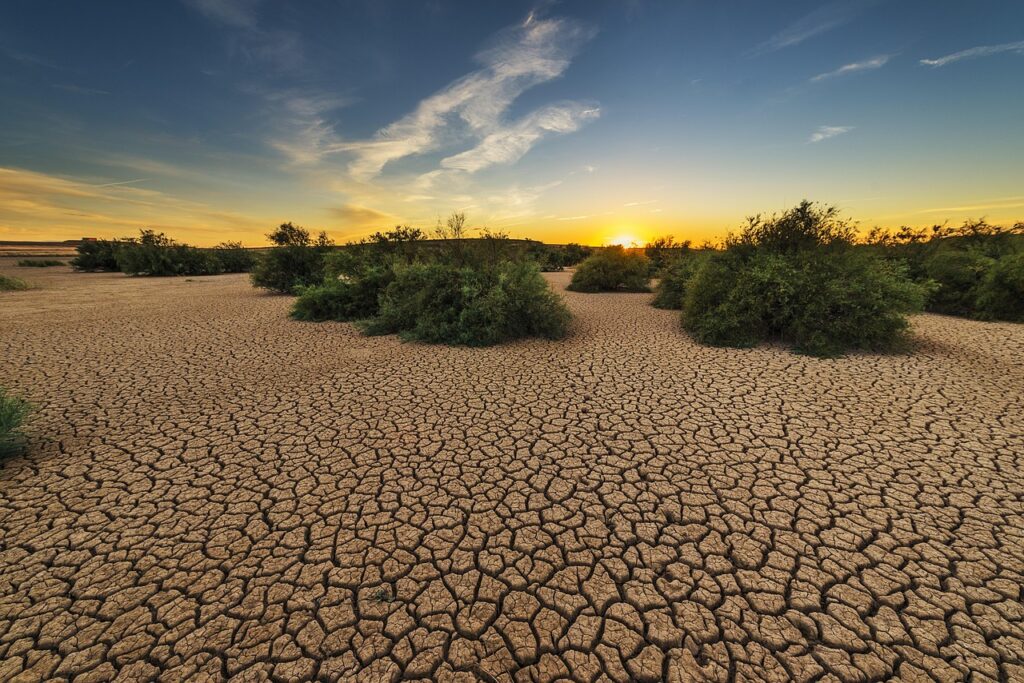 
Drought
