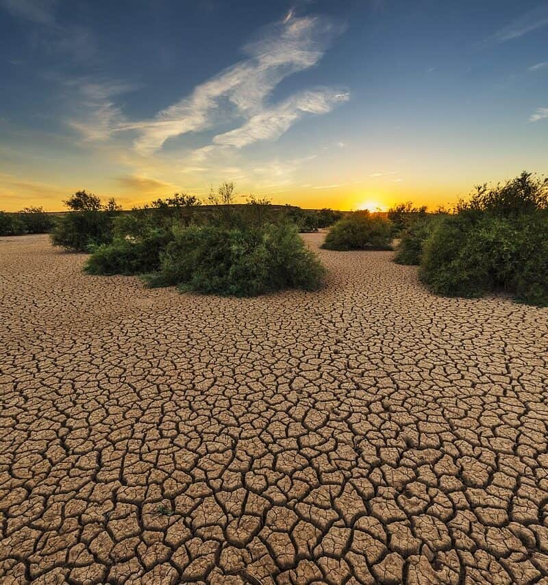 Drought