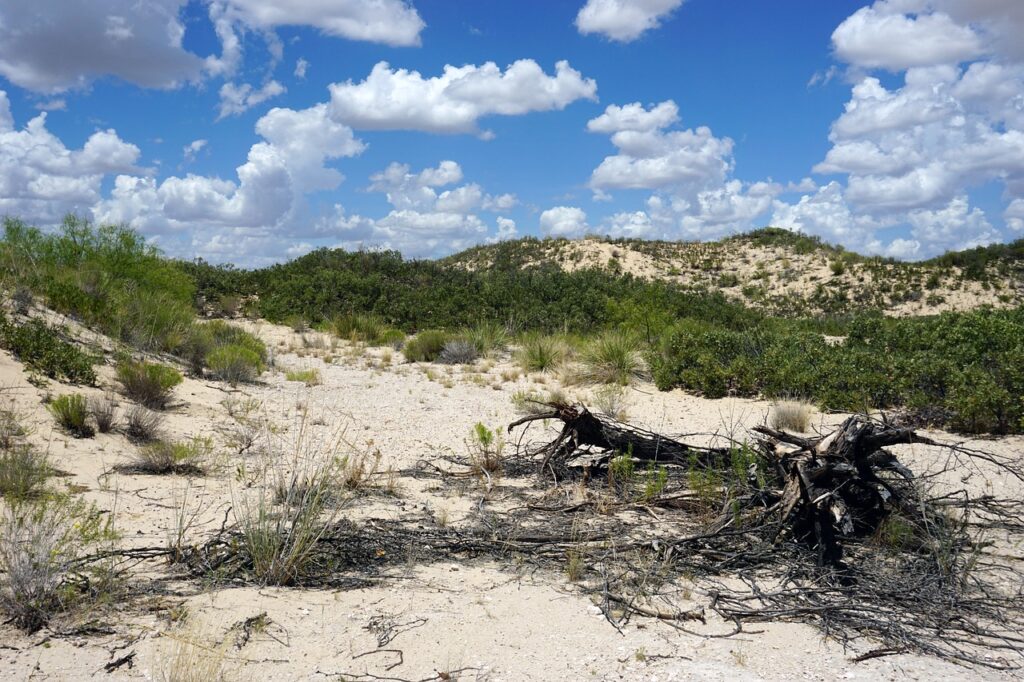 Texas