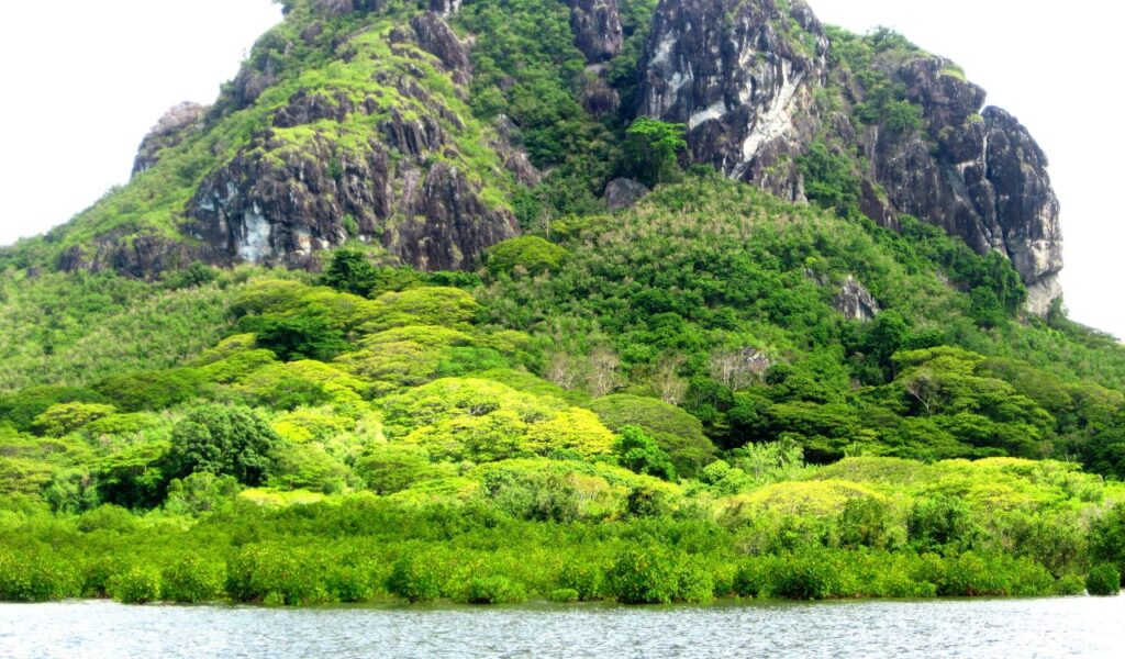Lush green rainforest and rocky mountain rising above a calm river in Fiji, showcasing tropical beauty and wild nature.