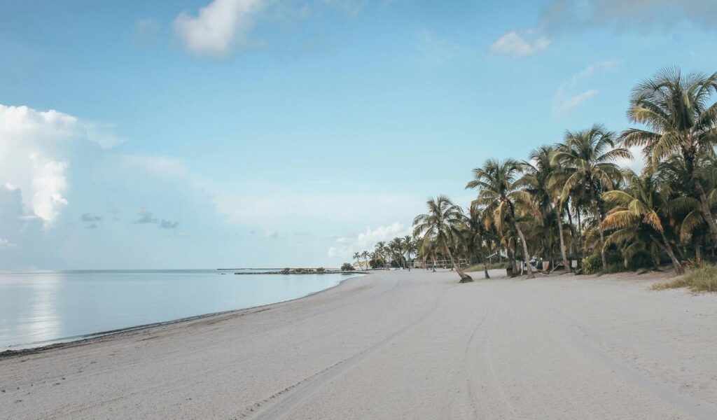 Alt text: Quiet tropical beach in the Florida Keys with soft white sand, calm turquoise water, and a line of tall palm trees under a clear blue sky.

