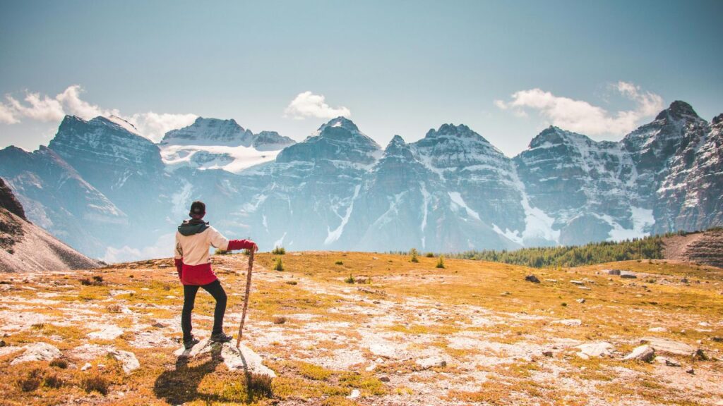 A hiker standing on a grassy plateau with a walking stick, looking at a range of snow-capped mountains under a clear blue sky in the Bavarian Alps.