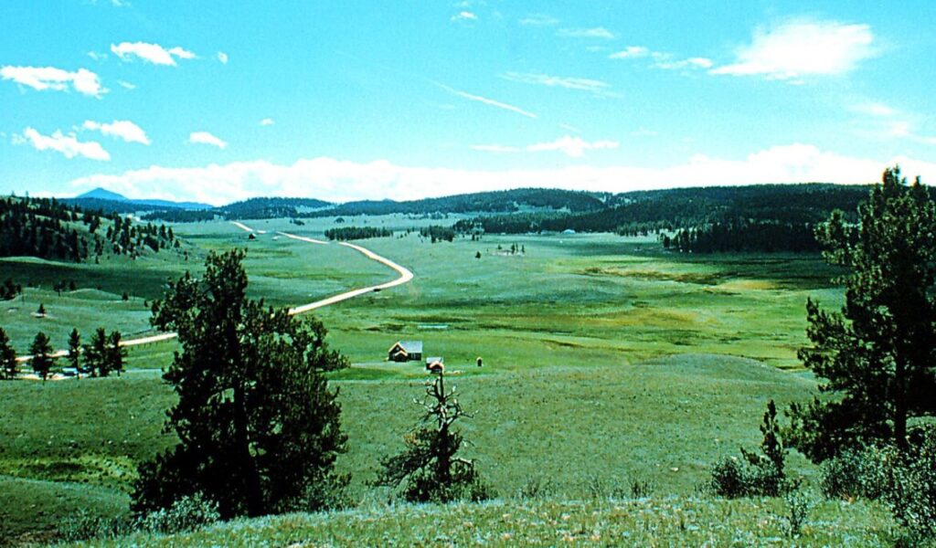 Rolling green meadows and winding dirt road along the historic Gold Belt Scenic Byway.