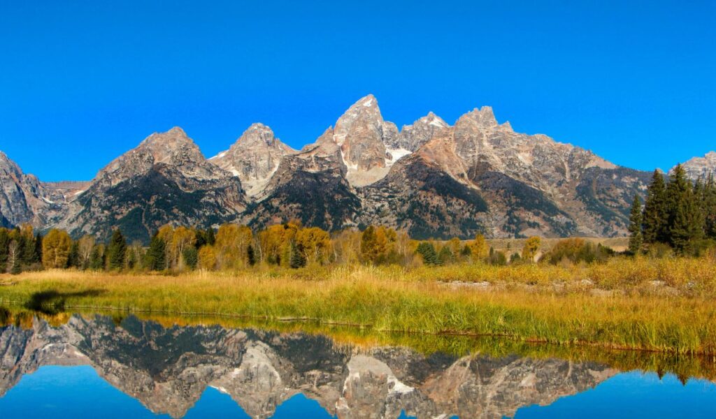 Jagged peaks of the Teton Range rise above golden trees and grassy meadows, mirrored perfectly in a still blue lake.