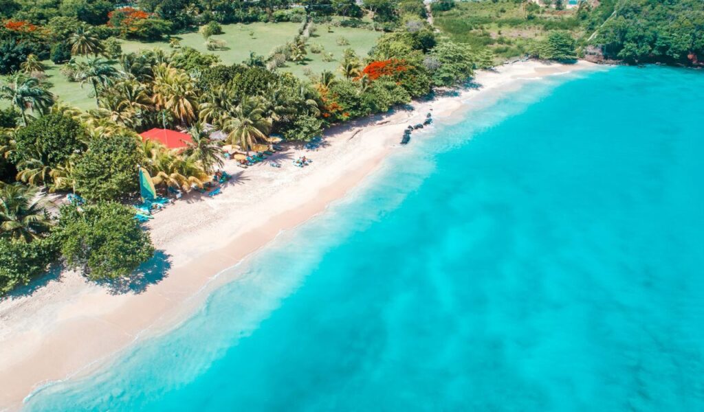 Bright aerial view of a tropical beach in Grenada with palm trees, sun loungers, and vibrant turquoise waters.