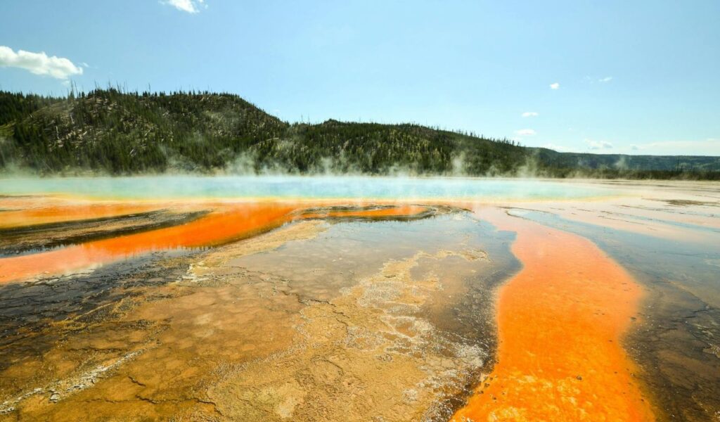 Bright orange and black microbial mats line the steaming Grand Prismatic Spring in Yellowstone National Park, Wyoming.