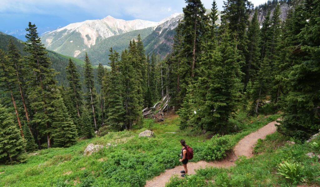 A hiker with a red backpack walks along a forest trail surrounded by tall pine trees, with mountains visible in the distance.