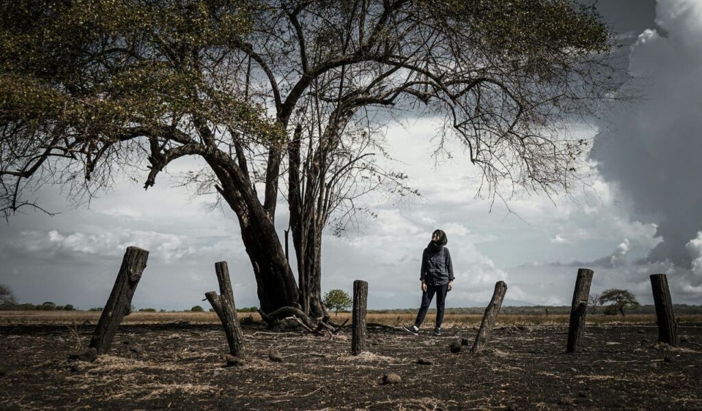 Solo traveler standing under large tree in dry, open landscape in Indonesia.