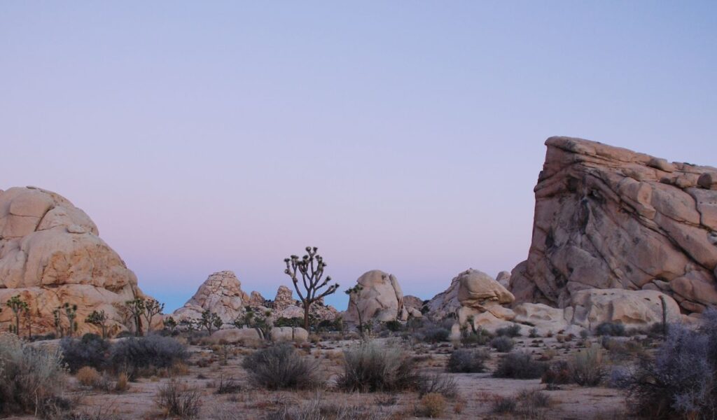 Joshua Tree, California, known for its UFO sightings, offers vast desert landscapes and iconic rock formations.