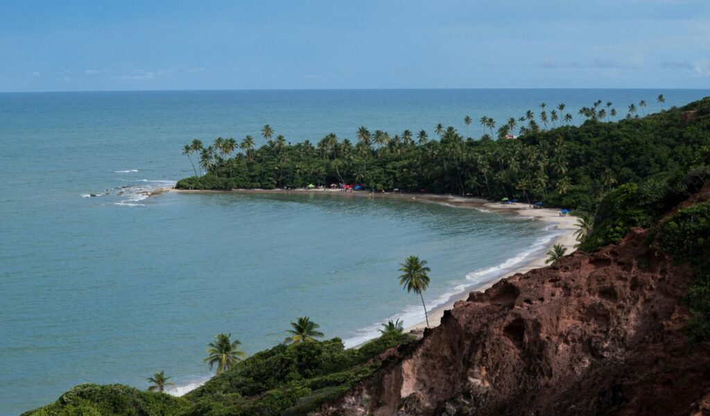 A remote tropical cove lined with palm trees and backed by dense forest, viewed from a rocky cliff above.