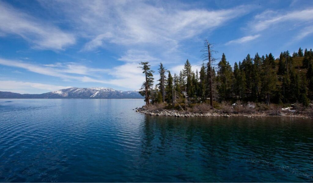 Lake Tahoe shoreline with clear blue water, pine trees, and snow-capped mountains in the distance.