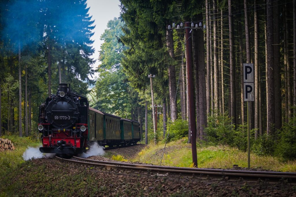 Narrow Gauge Railway