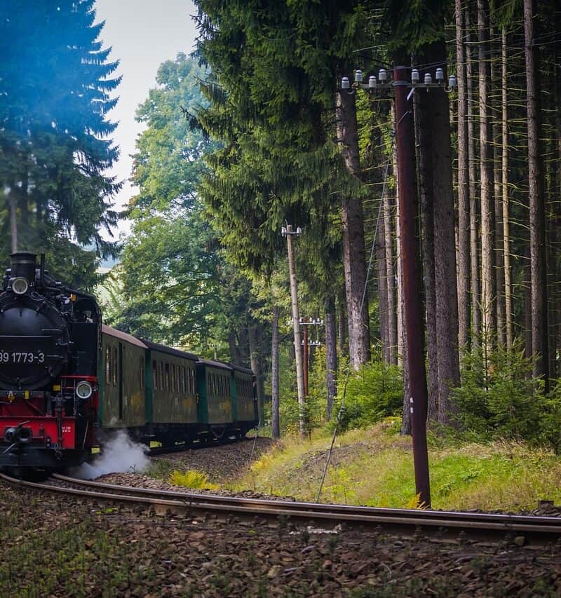 Narrow Gauge Railway