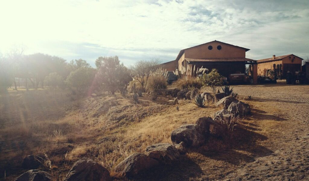 Rustic adobe-style farmhouse with a red tile roof surrounded by dry desert vegetation, rocks, and early morning sunlight in a rural setting.