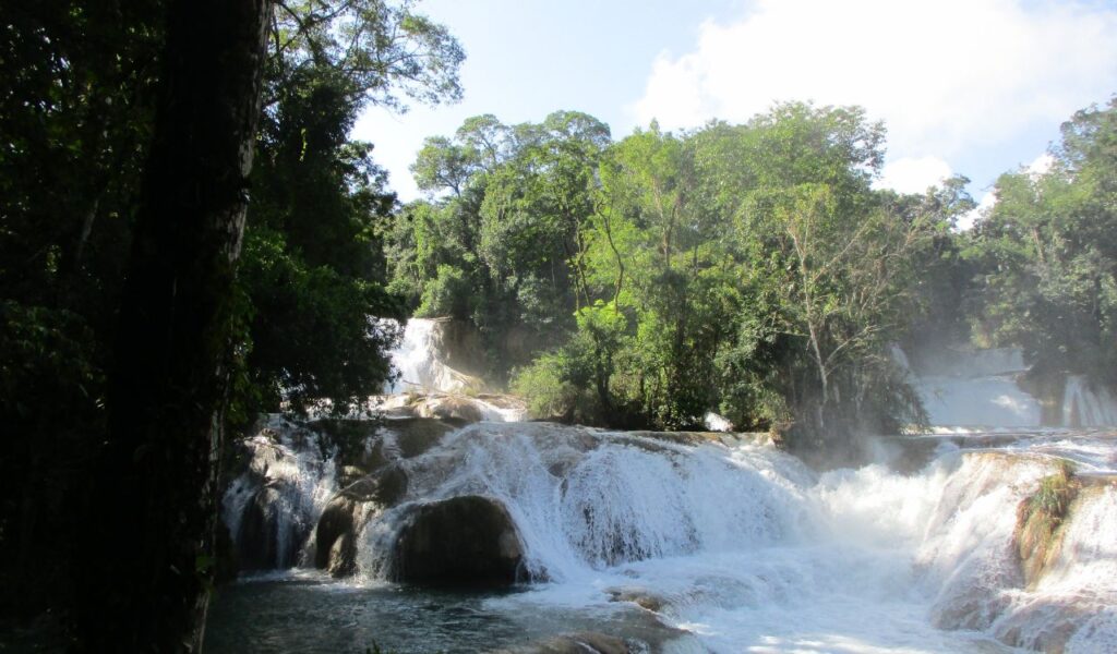 Rushing waterfalls surrounded by dense jungle in southern Mexico’s Chiapas region.