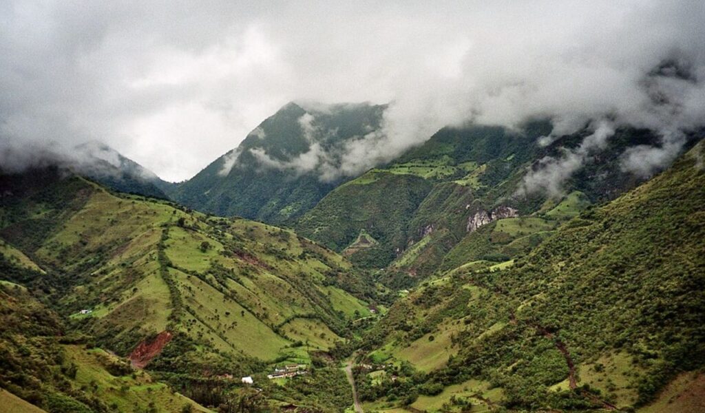 Lush green cloud forest and misty mountain slopes near Mindo, Ecuador.