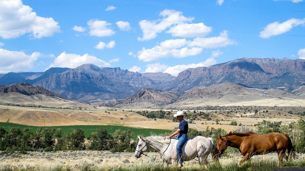 Montana